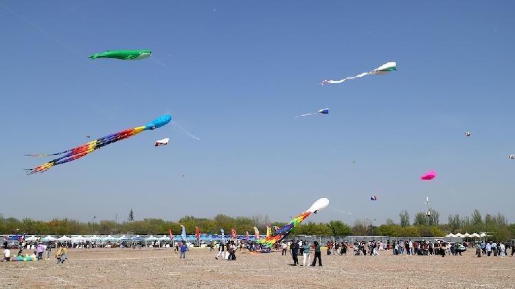 Lucy's Journey: Beijing International Kite Festival