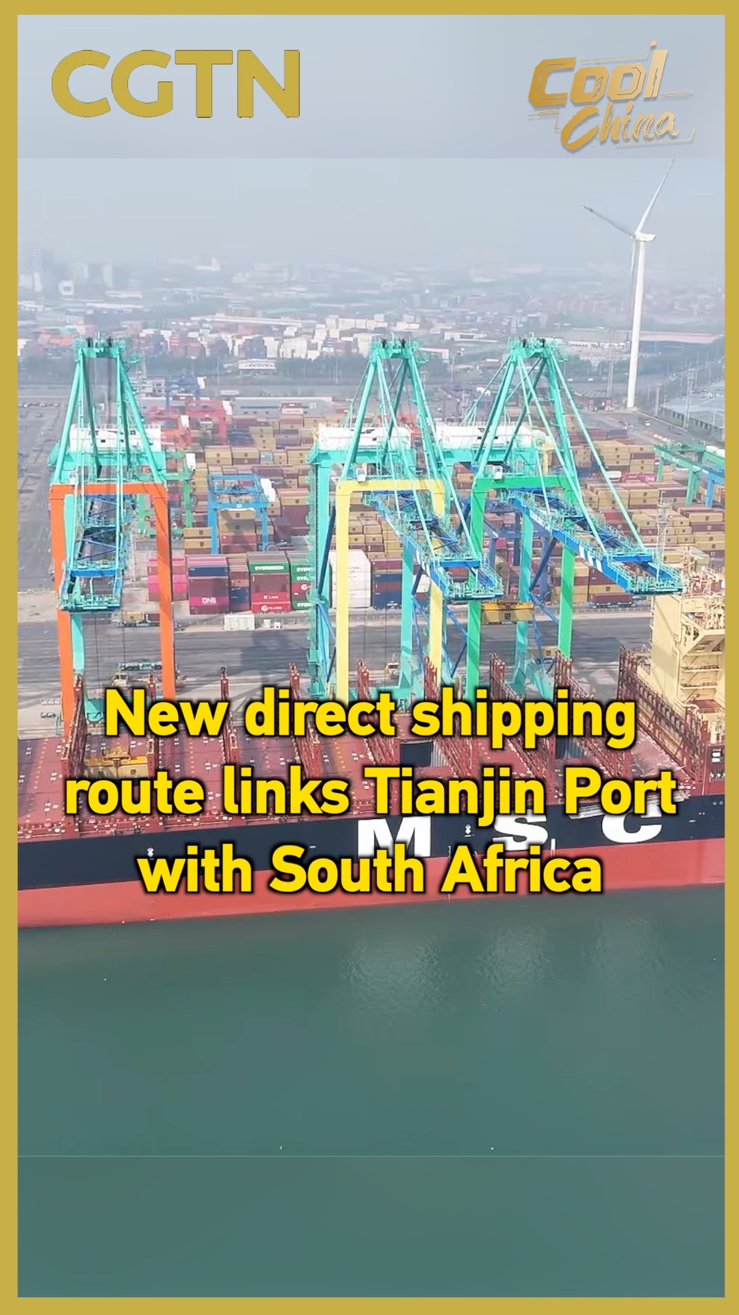 New direct shipping route links Tianjin Port with South Africa