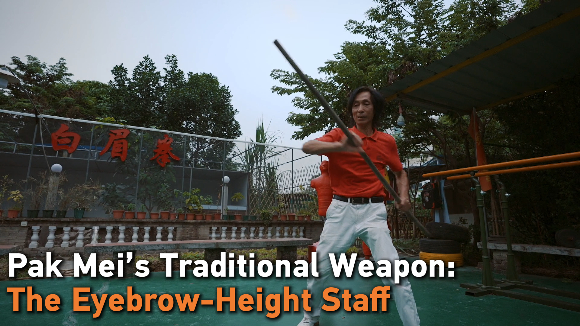 Pak Mei's traditional weapon: The Eyebrow-Height Staff