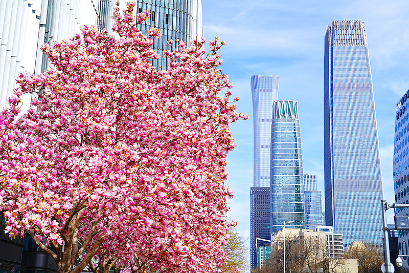A walk through Beijing's CBD – where modern China sets its pace