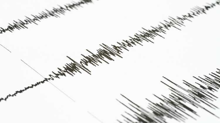 Live: Magnitude-7.4 earthquake strikes off northeastern Japan