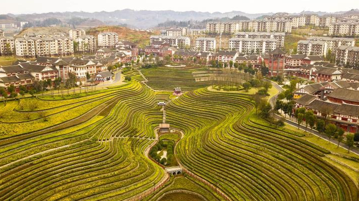 A newly built community for poverty alleviation relocation at ancient Shexiang Town in Dafang County, southwest China's Guizhou Province, December 24, 2020. /Xinhua