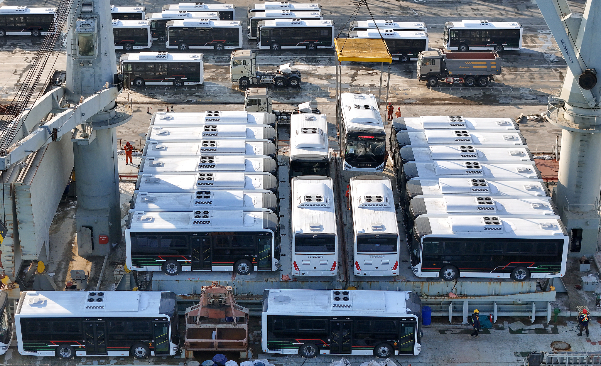Buses for export to African countries being loaded onto ships at Yantai Port in Shandong Province, January 12, 2026. /VCG