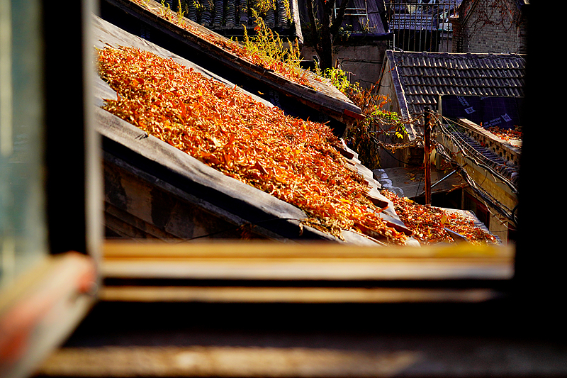 Nanluoguxiang: Beijing's most-visited hutong takes the spotlight