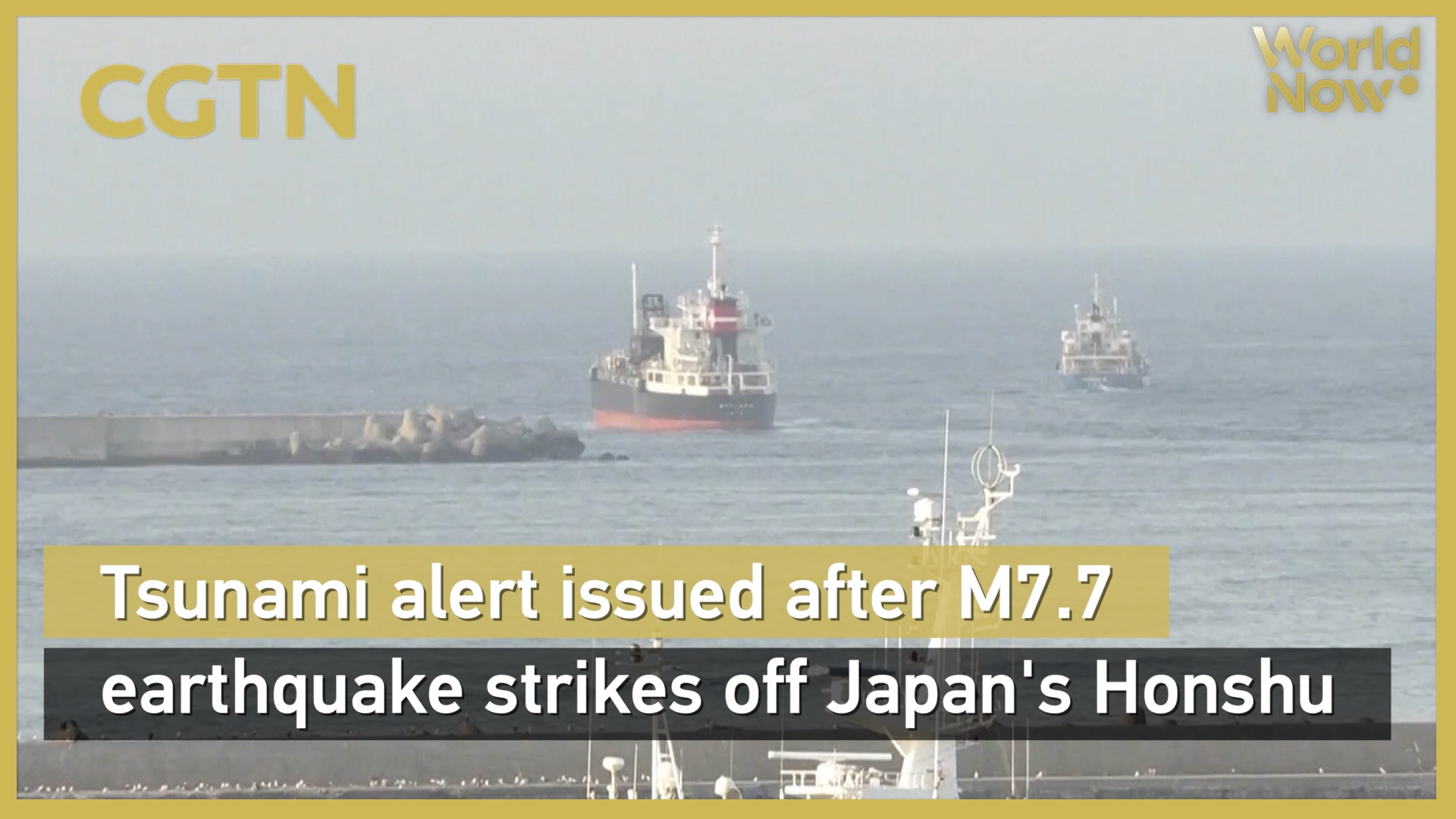 Tsunami alert issued after M7.7 earthquake strikes off Japan's Honshu