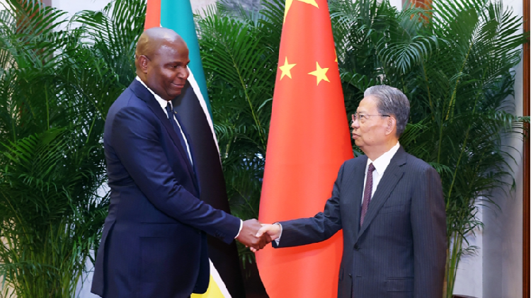 China's top legislator meets Mozambican president in Beijing
