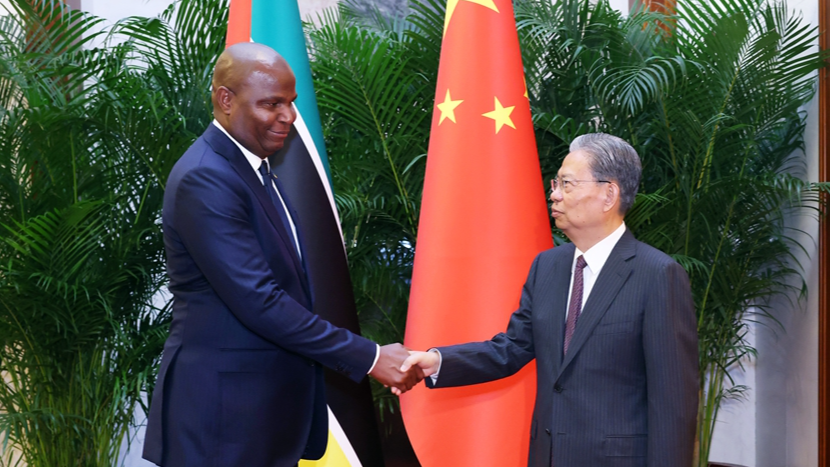 China's top legislator meets Mozambican president in Beijing