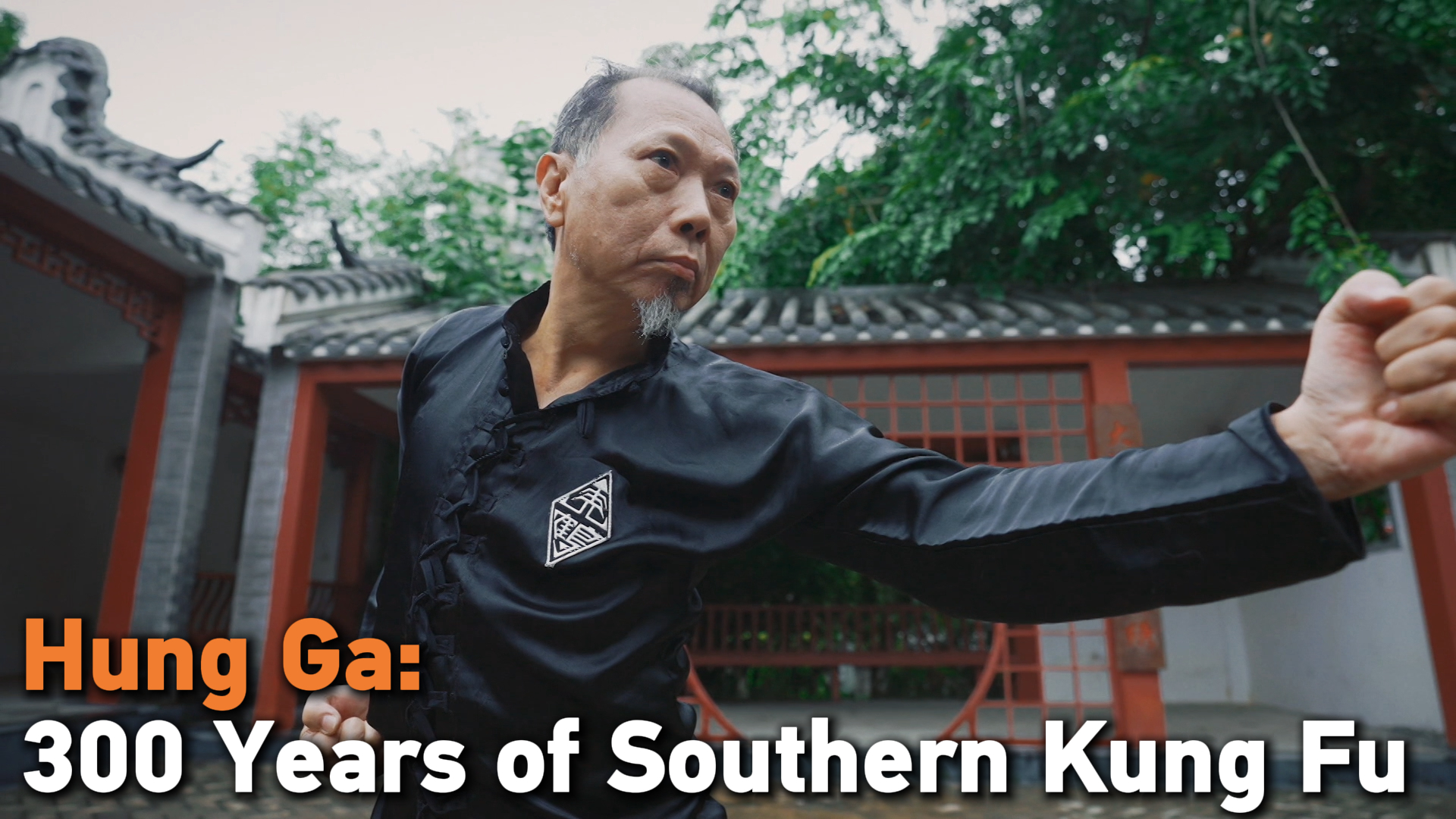 Hung Ga: 300 years of southern kung fu