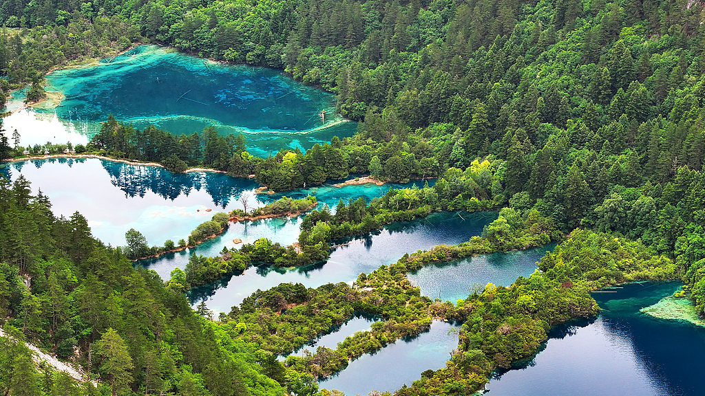 Live: Discover the stunning scenery of Jiuzhaigou in China's Sichuan Province