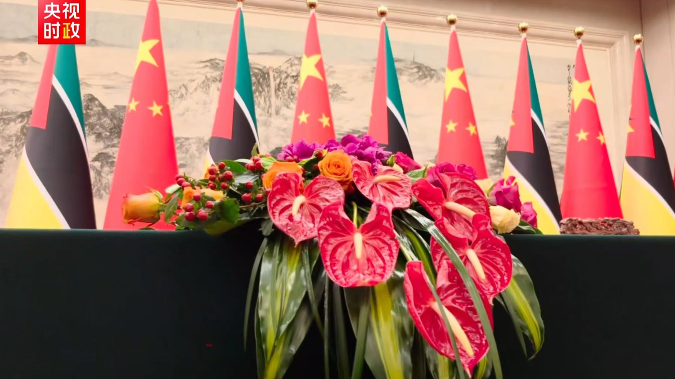 Xi, Daniel Chapo attend signing ceremony of cooperation documents