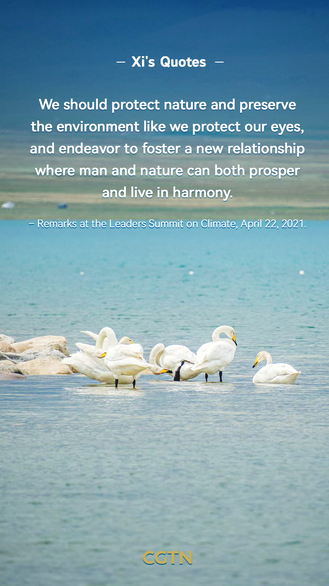 Xi Jinping's key quotes on promoting harmony between humanity and nature