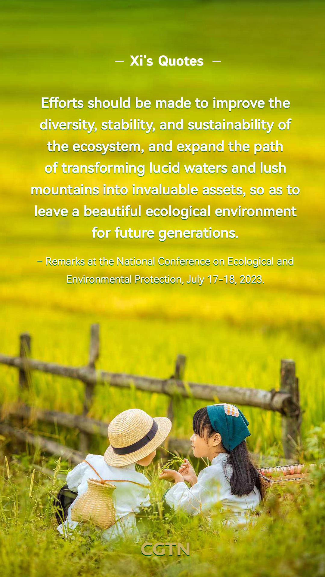 Xi Jinping's key quotes on promoting harmony between humanity and nature