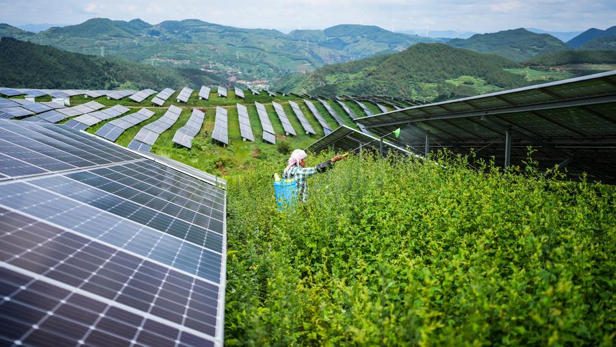A farmer works amid photovoltaic panels at a solar power station in the Yi-Hui-Miao Autonomous County of Weining, southwest China's Guizhou Province, July 3, 2025. /Xinhua