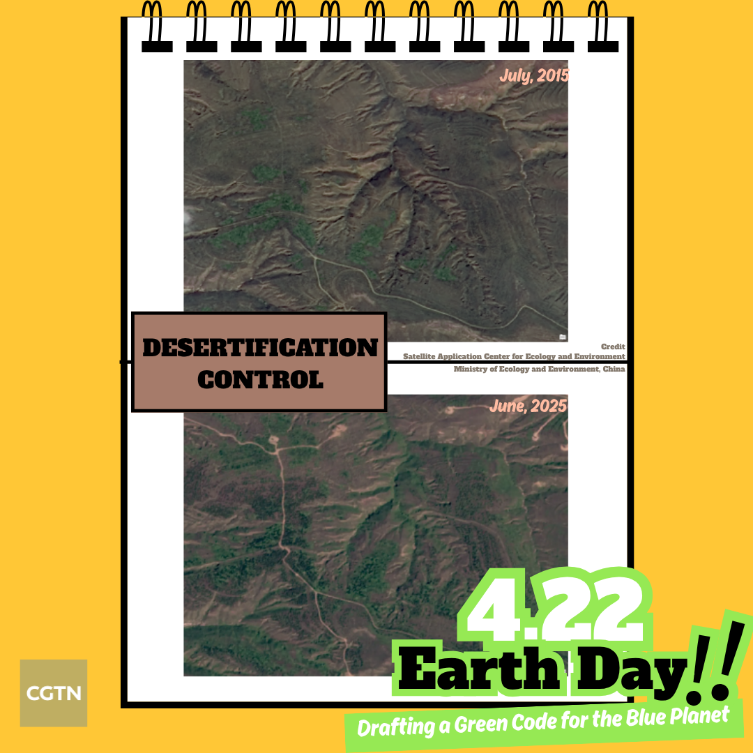 The before-and-after satellite images of Horinger County in North China's Inner Mongolia Autonomous Region. /Ministry of Ecology and Environment