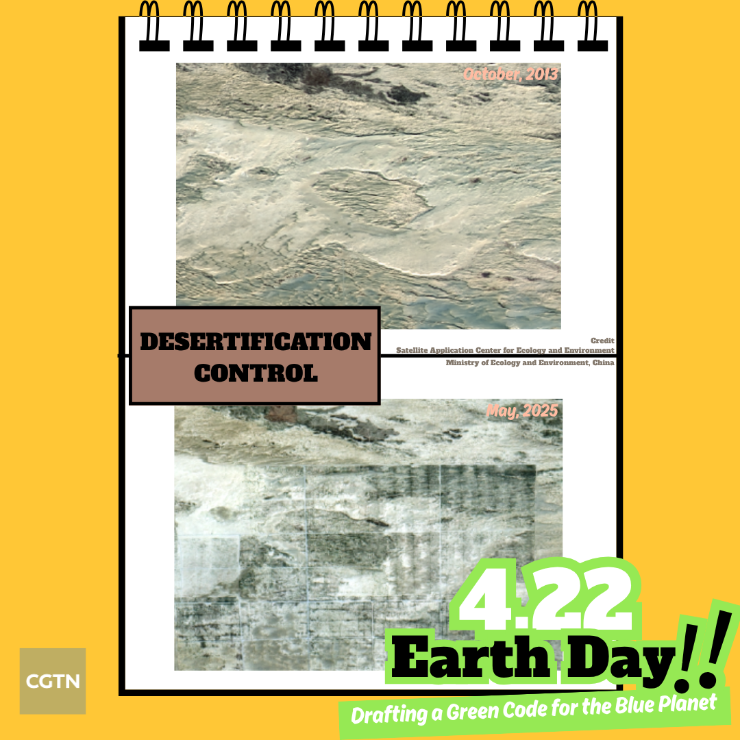 The before-and-after satellite images of desert in Minfeng County in northwest China's Xinjiang Uygur Autonomous Region. /Ministry of Ecology and Environment