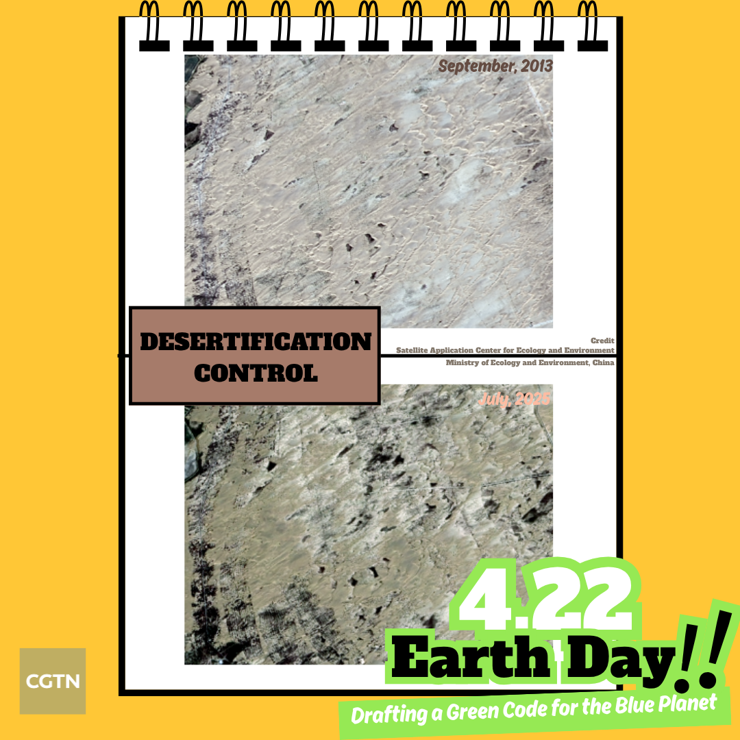 The before-and-after satellite images of desert in Qiemo County in northwest China's Xinjiang Uygur Autonomous Region. /Ministry of Ecology and Environment