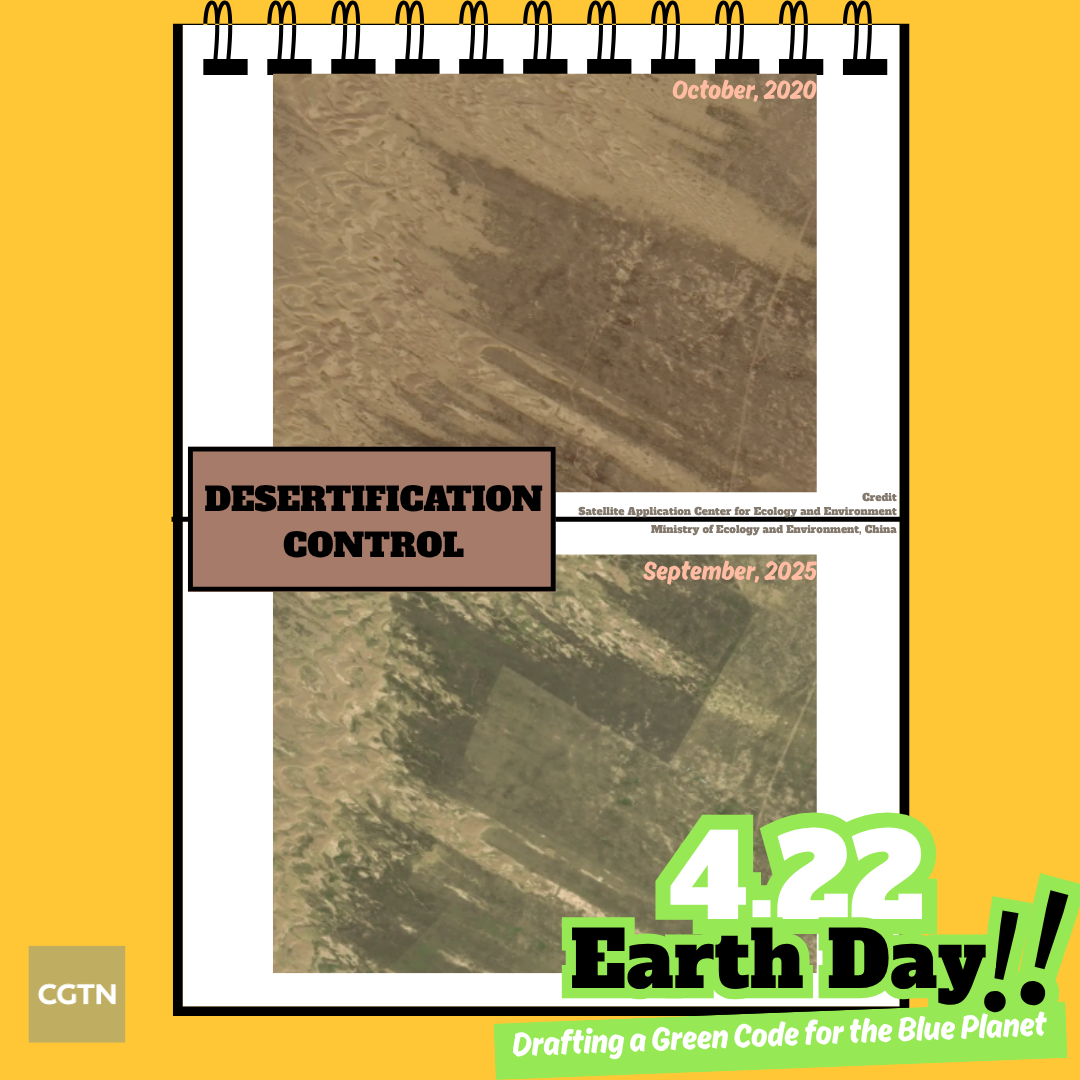 The before-and-after satellite images of in Gonghe County in northwest China's Qinghai Province. /Ministry of Ecology and Environment