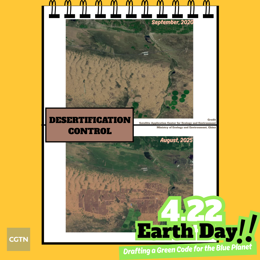 The before-and-after satellite images of desert in north China's Inner Mongolia Autonomous Region. /Ministry of Ecology and Environment