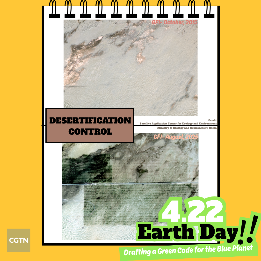 The before-and-after satellite images of desert in Alar city in northwest China's Xinjiang Uygur Autonomous Region. /Ministry of Ecology and Environment