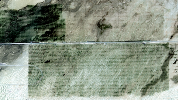 Satellite images of desert in Alar city in northwest China's Xinjiang Uygur Autonomous Region in 2025. /Ministry of Ecology and Environment