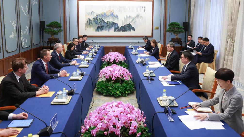 He Lifeng meets GE HealthCare CEO, welcomes more US-funded businesses