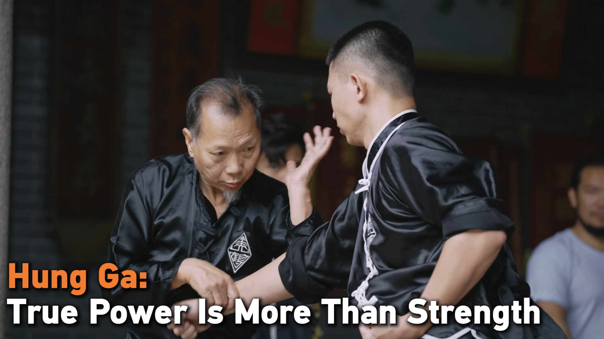 Hung Ga: True power is more than strength
