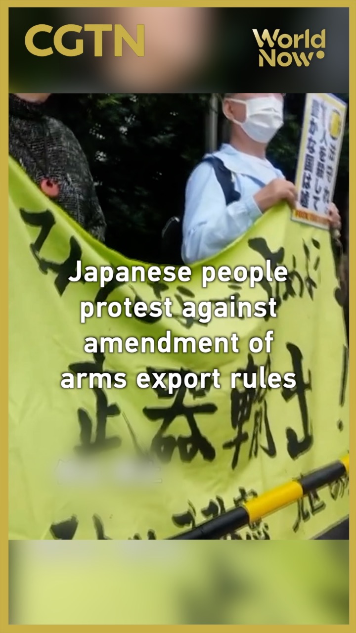 Japanese people protest against amendment of arms export rules