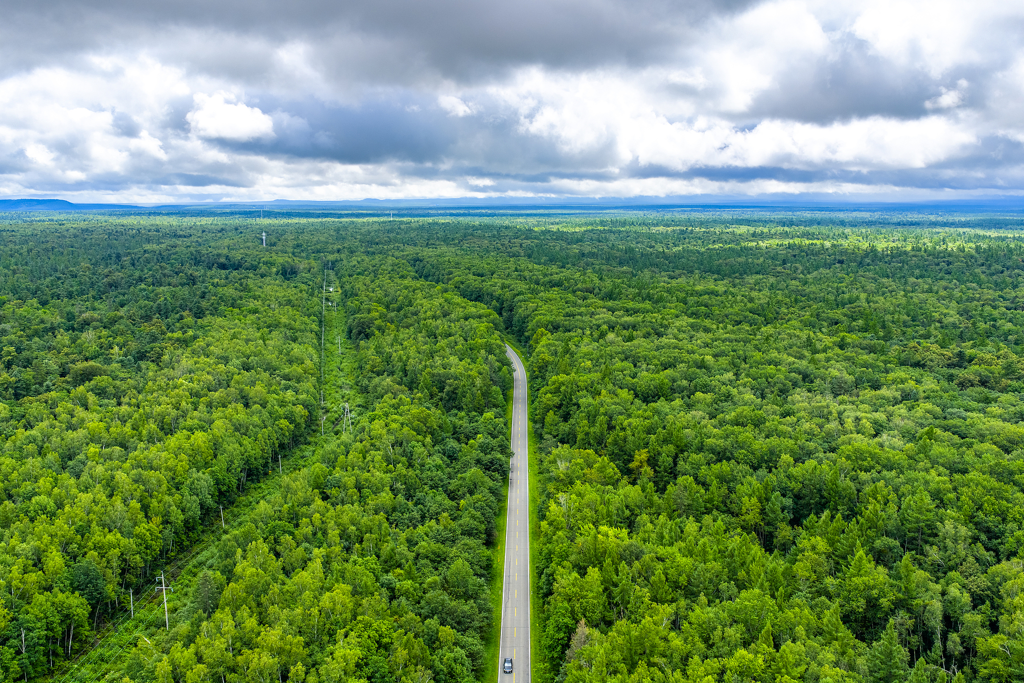 Forests in the Yanbian Korean Autonomous Prefecture, Jilin Province, northeast China, August 6, 2025. /VCG