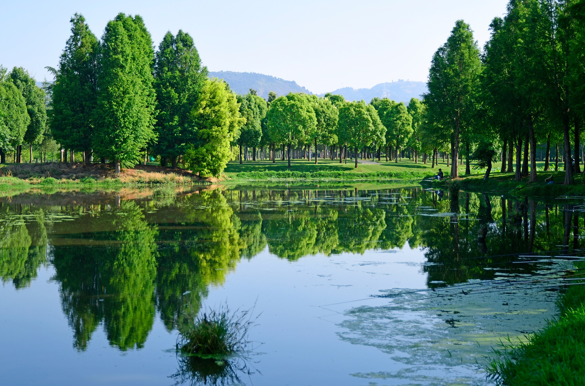 The Dianxi River Wetland Park in Mile, Yunnan Province, southwest China, May 6, 2025. /VCG