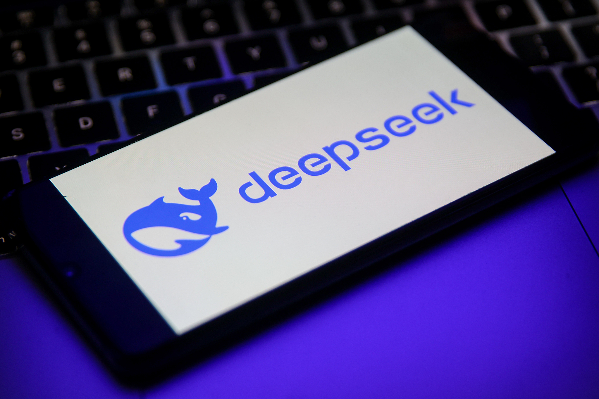 The logo of DeepSeek. /VCG