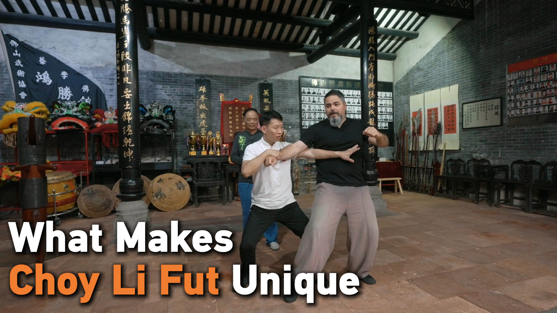 What makes Choy Li Fut unique
