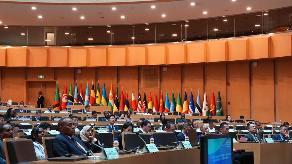 China's openness drives Sino-African ties, mutual prosperity