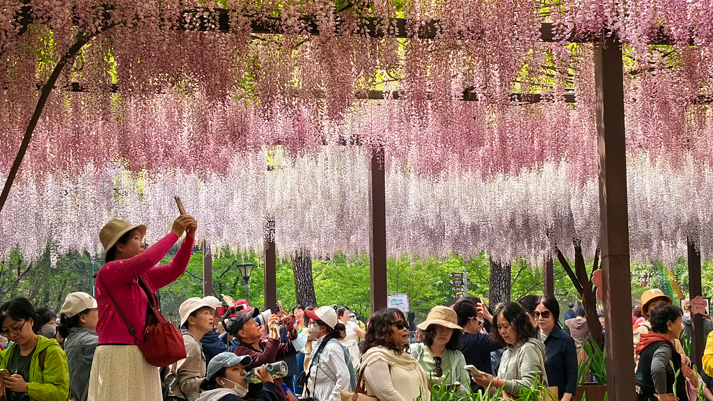 China to invest 1 billion yuan to subsidize tourist trips