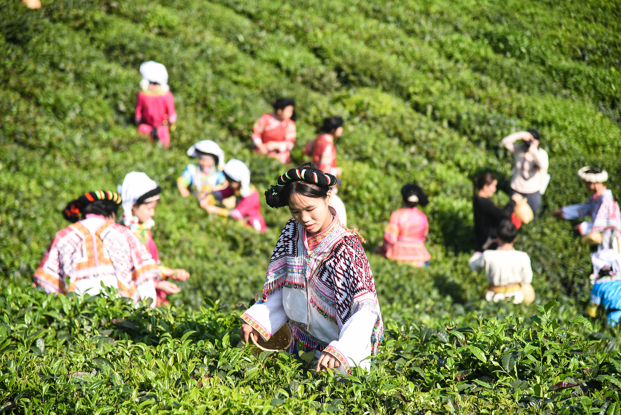 A view of Pu'an, China, April 1, 2024. /VCG
