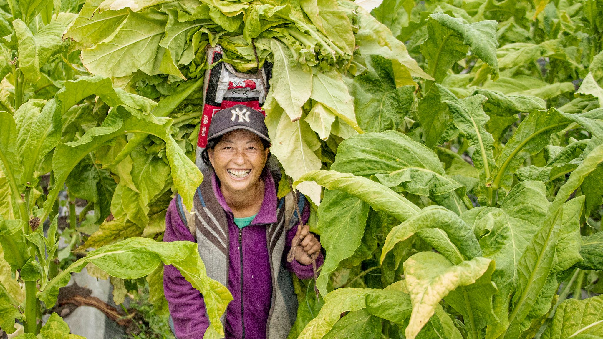 How China's rural areas consolidate the gains of poverty alleviation