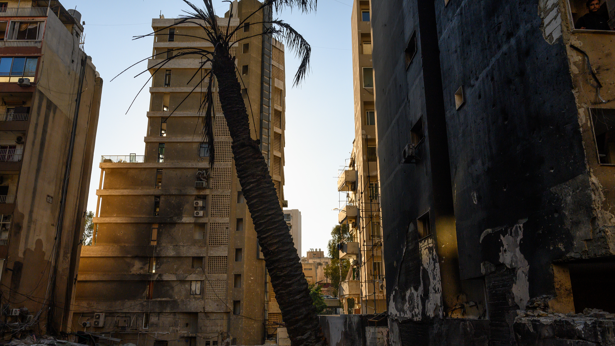 Live view of Beirut's skyline