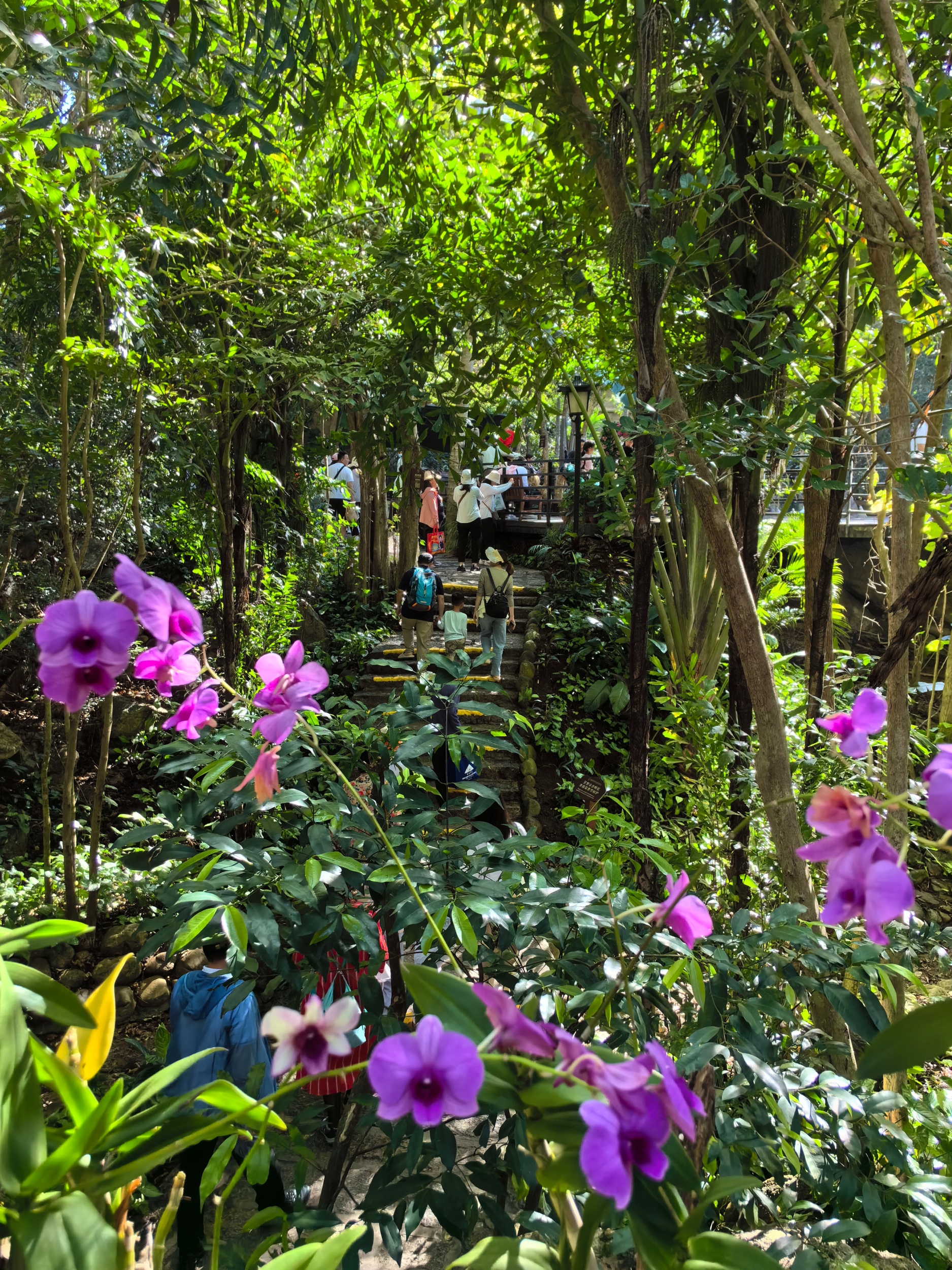 A view of Yalong Bay Tropical Paradise Forest Park is seen in Sanya, south China's Hainan Province, in January 2024. /CGTN