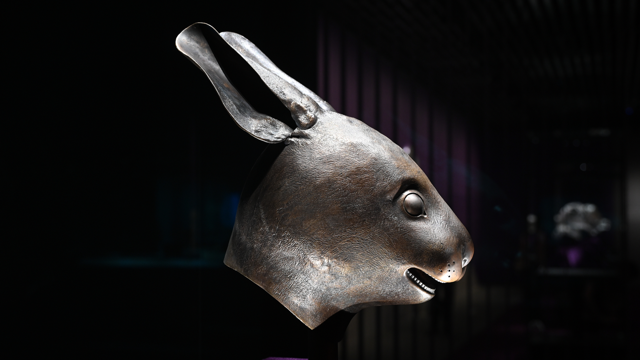 The bronze rabbit head of the 12 Chinese zodiac sculptures of the Old Summer Palace, June 13, 2025. /CFP