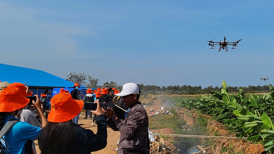 Local trainees observe a China-made drone spraying pesticide at a farm in Cambodia, December 4, 2021. /VCG