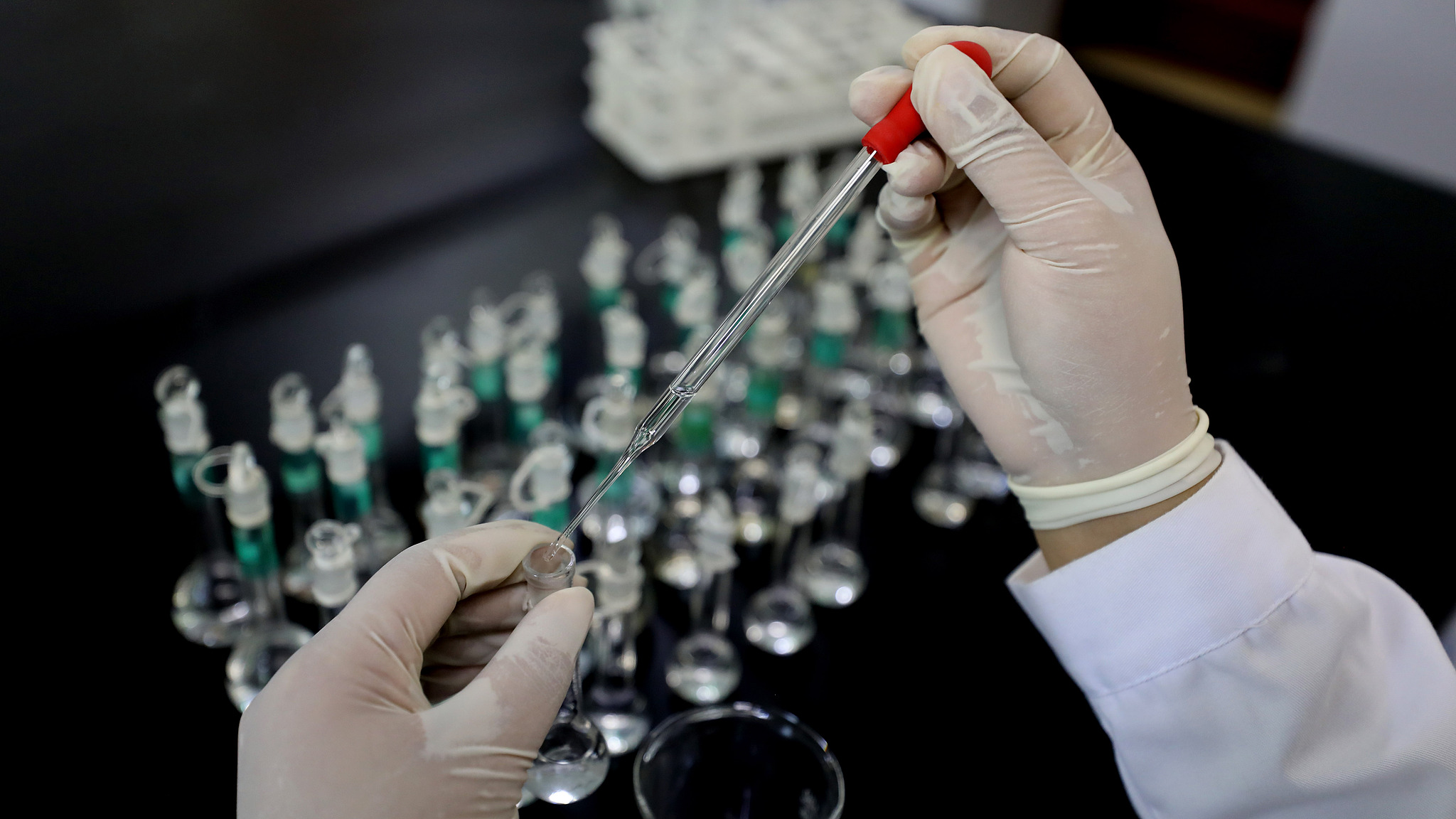 A staff member works in an artemisinin laboratory in Liuzhou, Guangxi Zhuang Autonomous Region, south China, August 27, 2024. /VCG