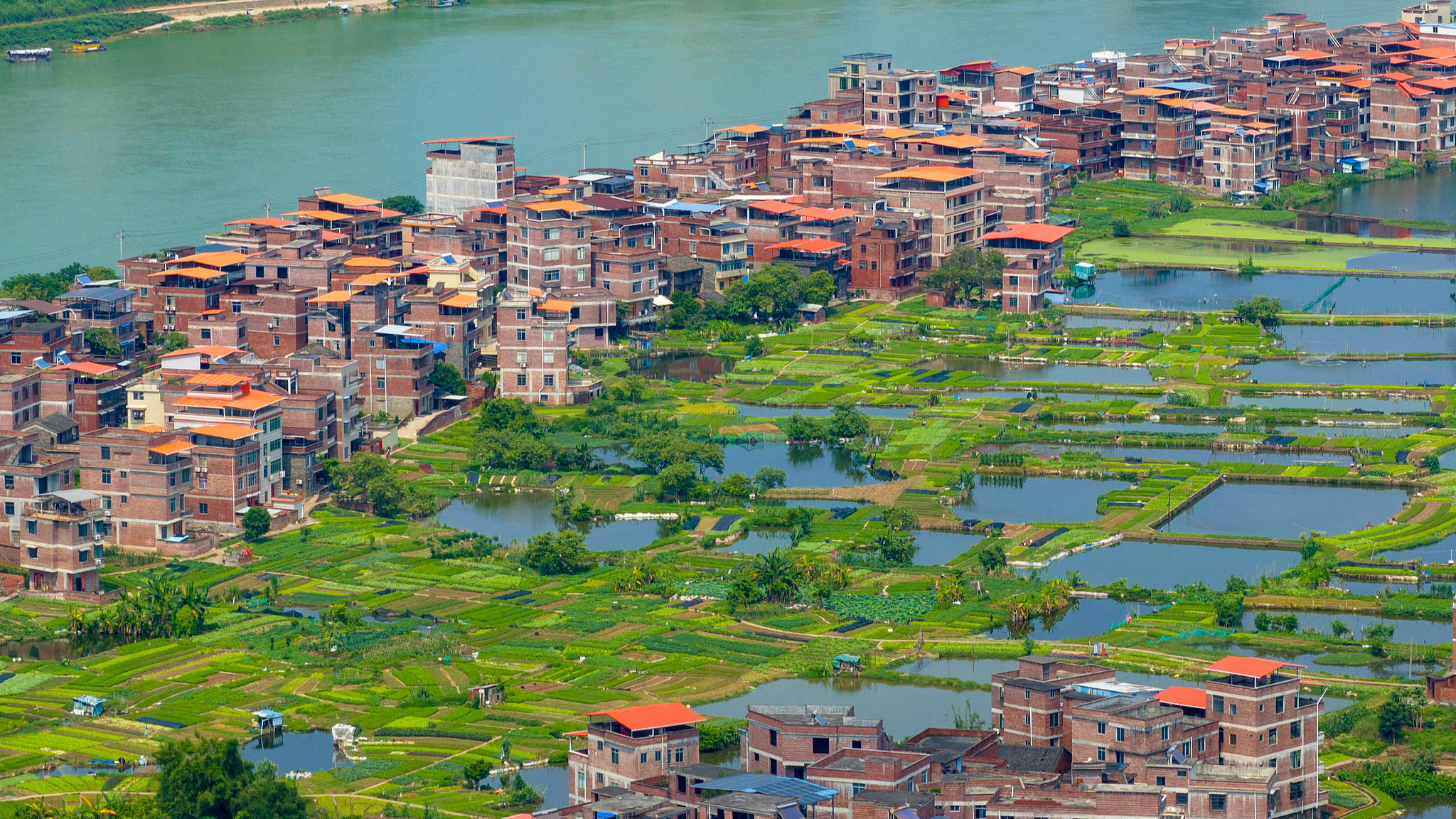 A view of an ecological vegetable planting base in Wuzhou, south China's Guangxi Zhuang Autonomous Region, April 24, 2026. /VCG