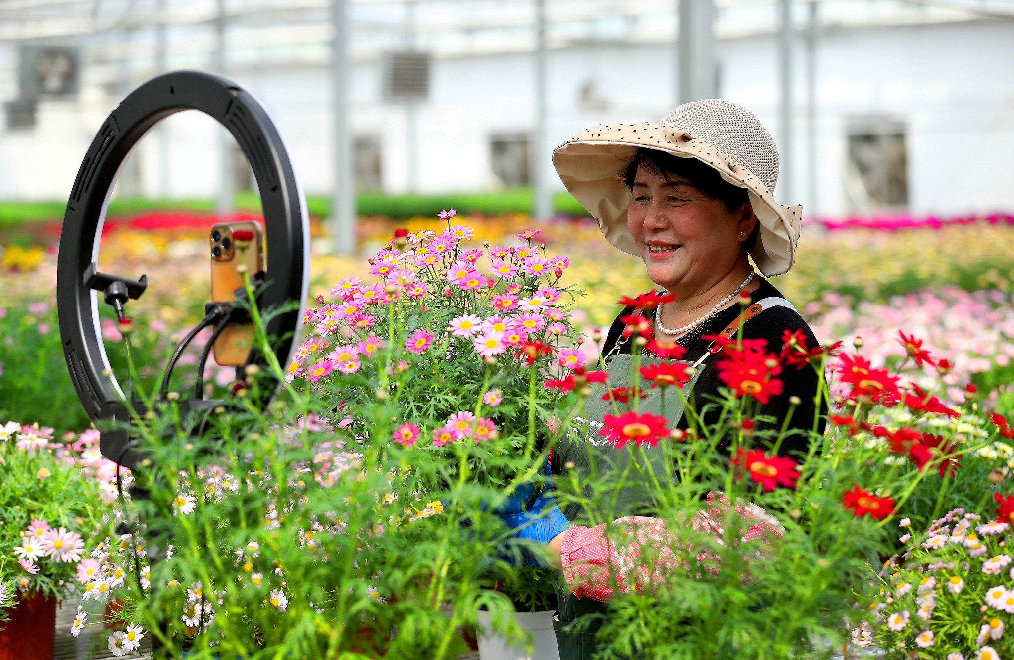 Flower growers sell flowers through e-commerce live streaming at a flower planting base in Qingdao, east China's Shandong Province, April 13, 2025. /VCG
