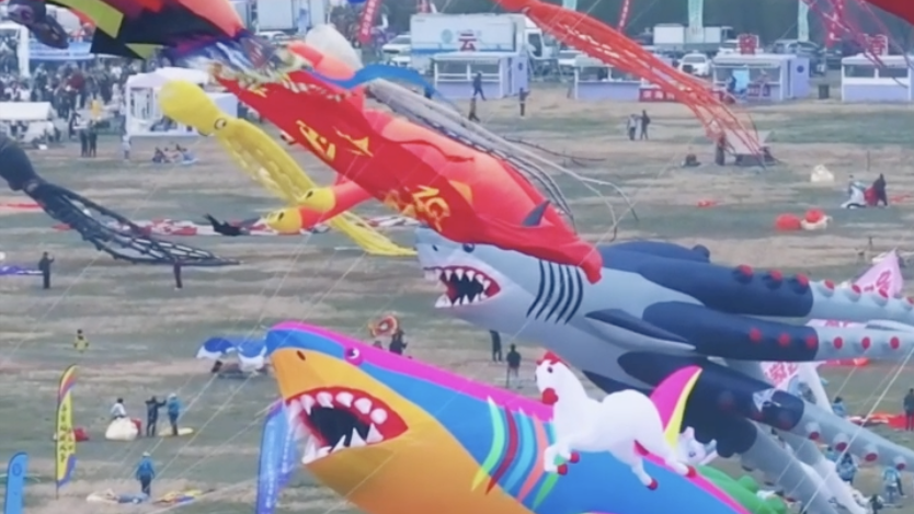 When kites take over