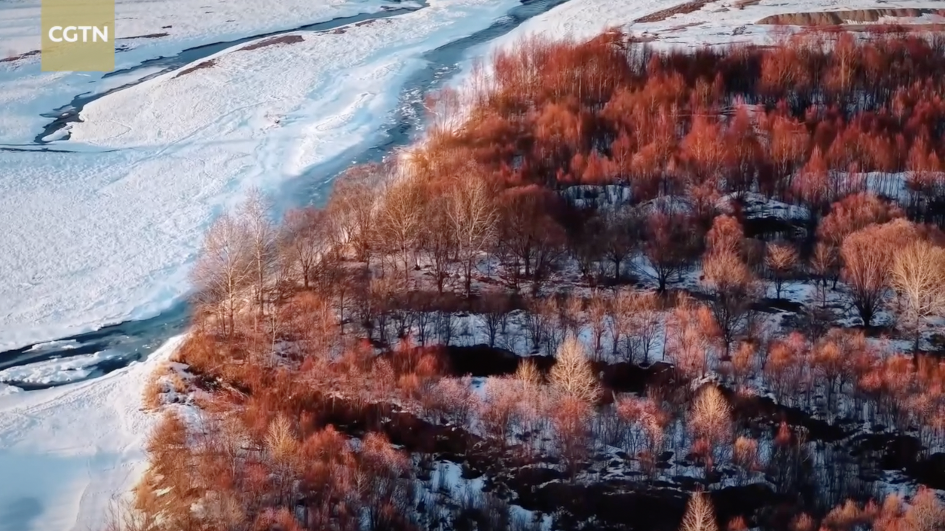 A Song of Ice and Fire — Greater Hinggan Mountains edition