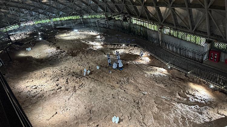 Chinese scientists develop nanocoating to shield dinosaur egg fossils