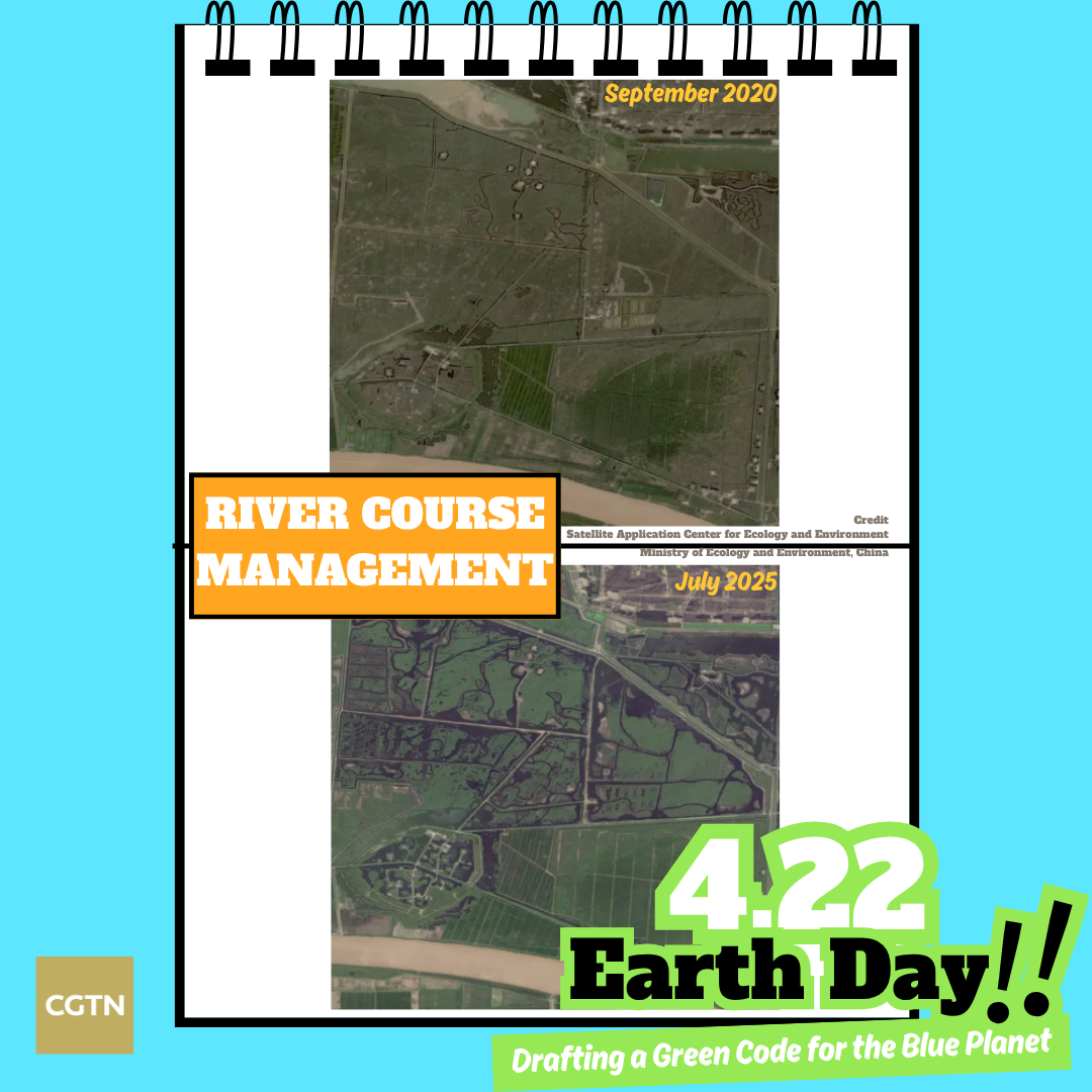 The before-and-after satellite images of the riverbank in Dongying City in east China's Shandong Province. /Ministry of Ecology and Environment