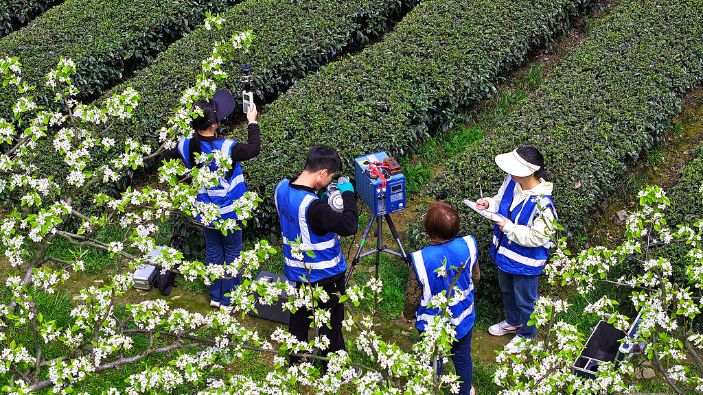 Environmental monitoring staff conduct air quality and ecological factor monitoring in central China's Hubei Province, March 31, 2026. /VCG