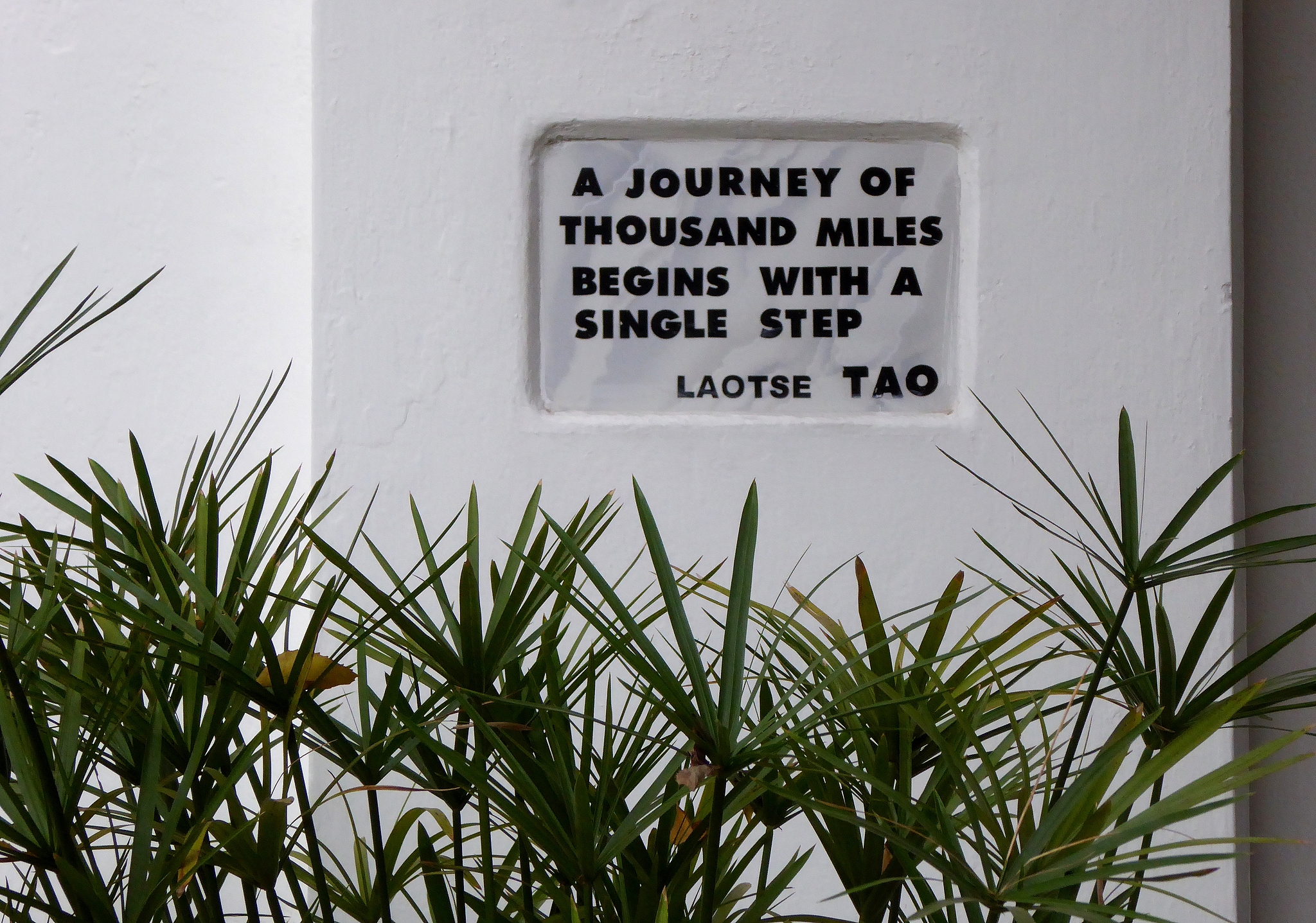 A plaque on a white wall reads, 
