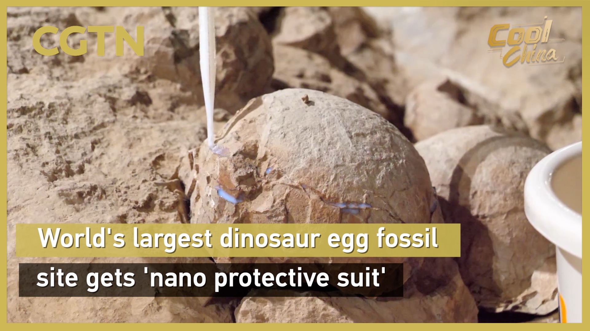 World's largest dinosaur egg fossil site gets 'nano protective suit'