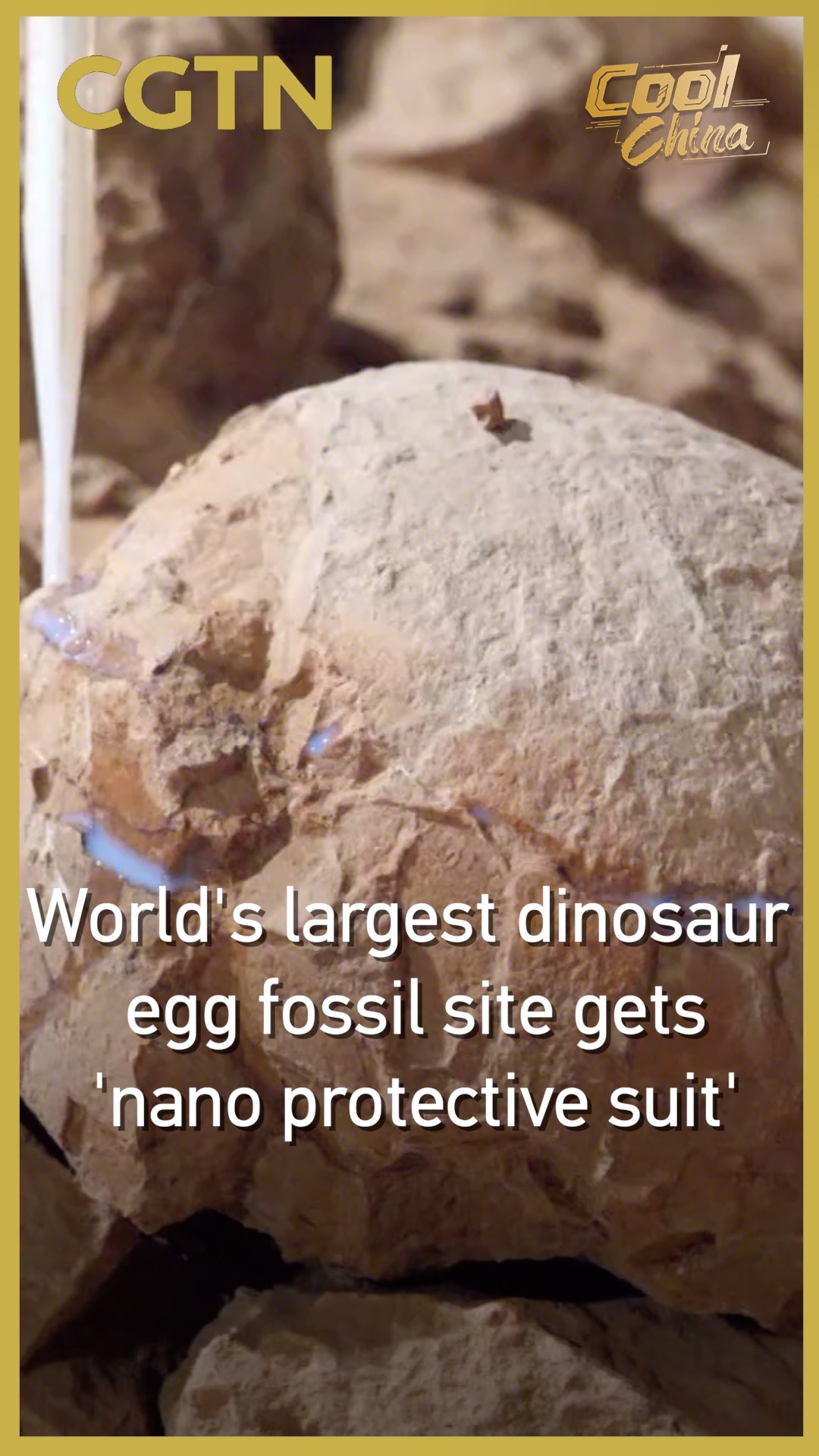 World's largest dinosaur egg fossil site gets 'nano protective suit'